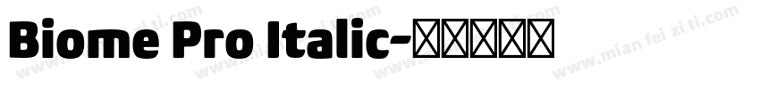 Biome Pro Italic字体转换